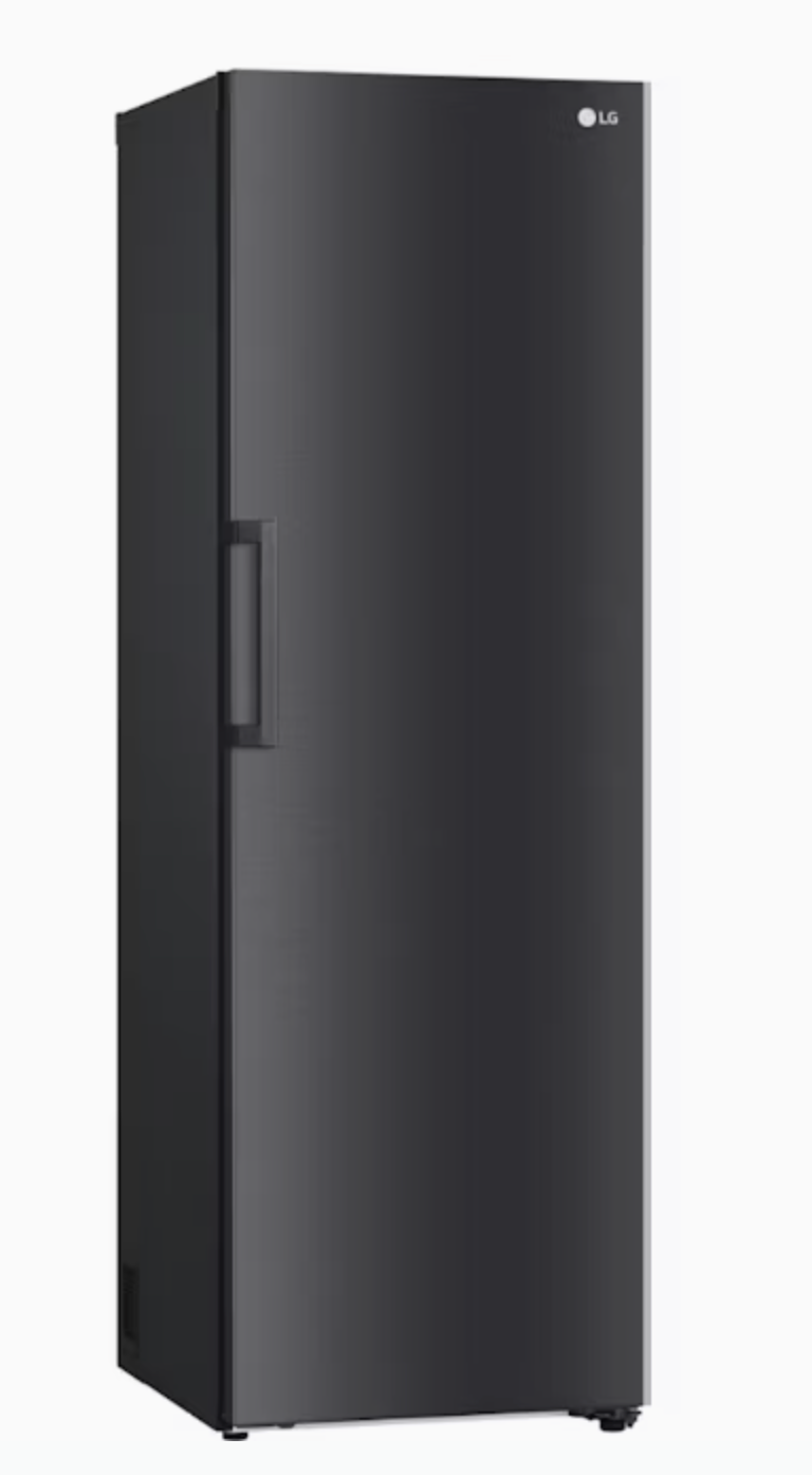 LG 386L Pigeon Pair Single Door Fridge (Matte Black)