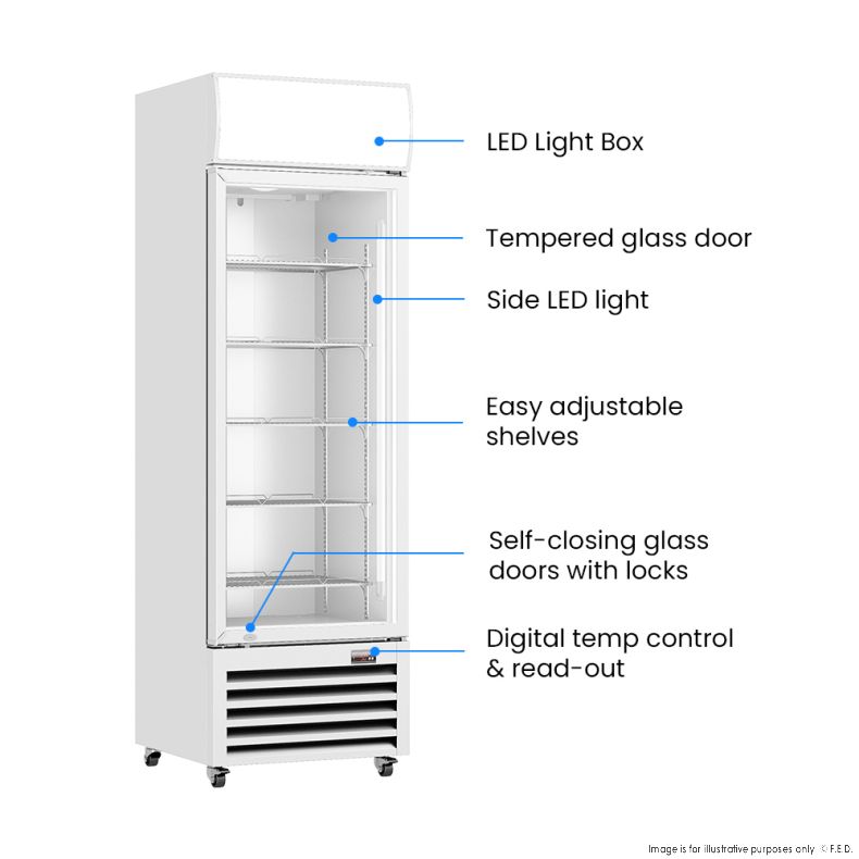 Thermaster Single Glass Door Colourbond Upright Drink Fridge - LG-370P