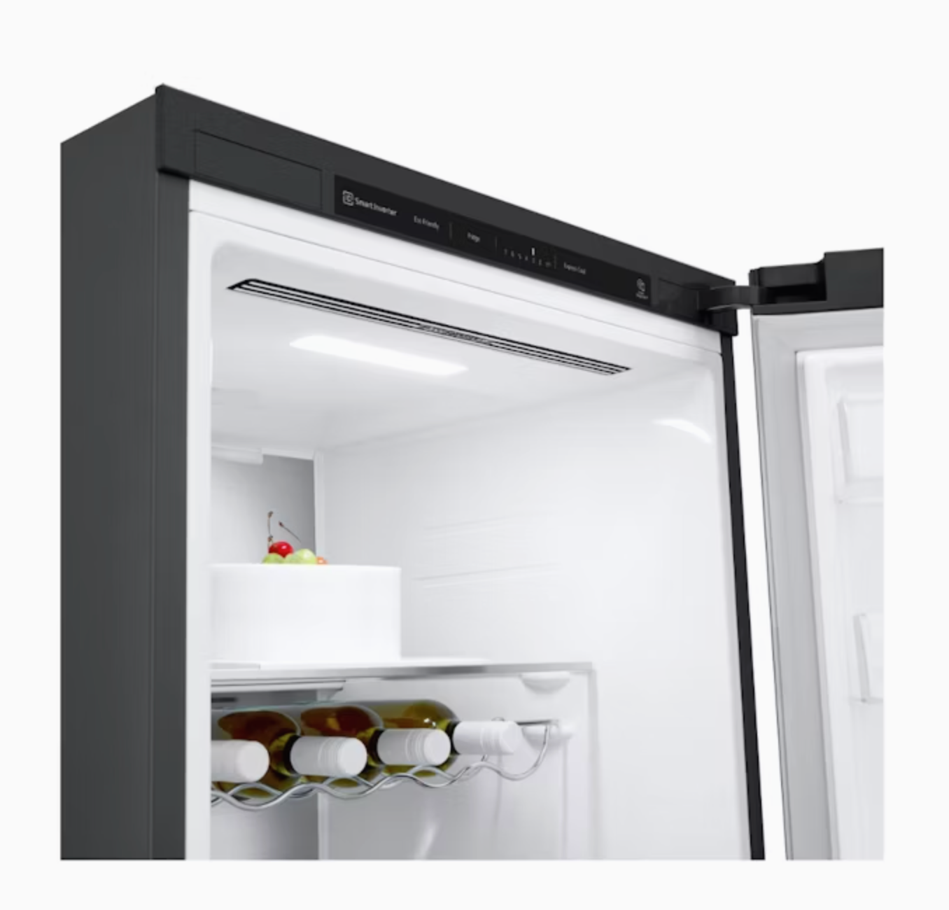 LG 386L Pigeon Pair Single Door Fridge (Matte Black)