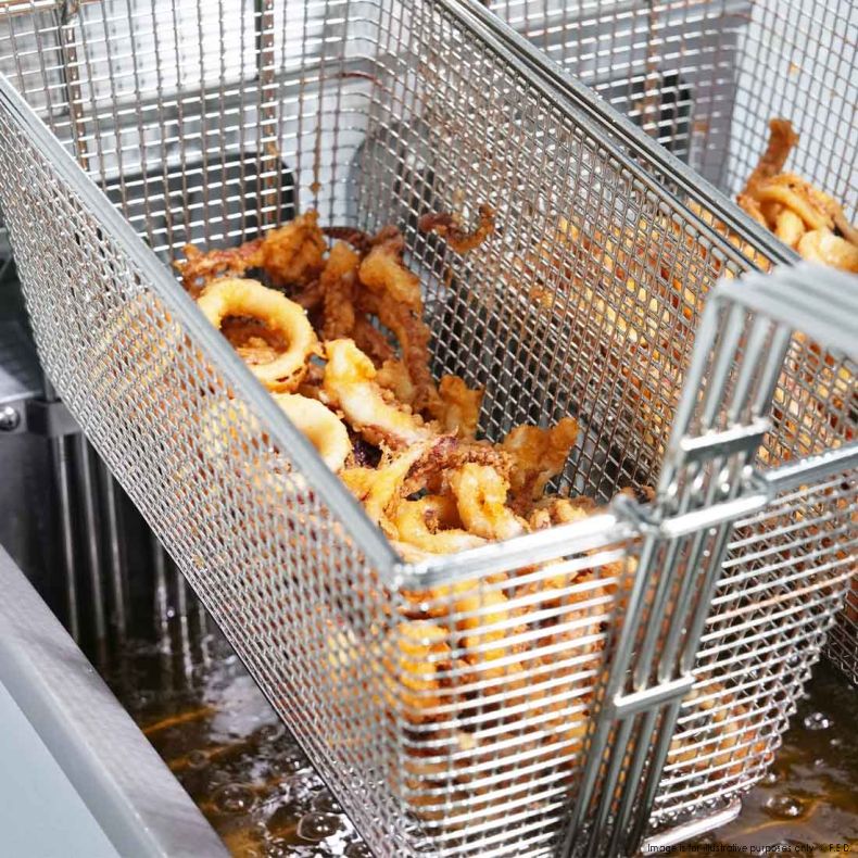 Frymax 28L Oil Capacity Electric Fryer  EF-28LE